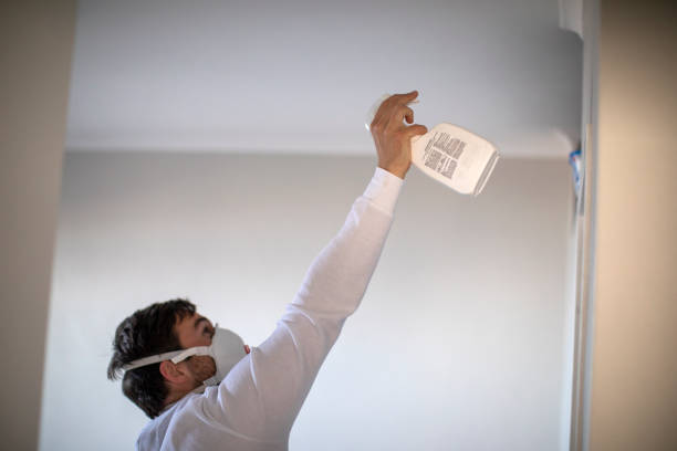 Best Toxic Mold Removal  in Spring Lake Park, MN