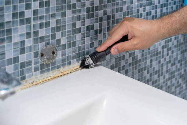 Best Mold Damage Repair  in Spring Lake Park, MN